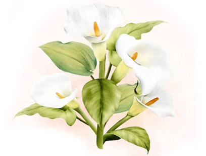 ホワイトブーケ (White Bouquet)